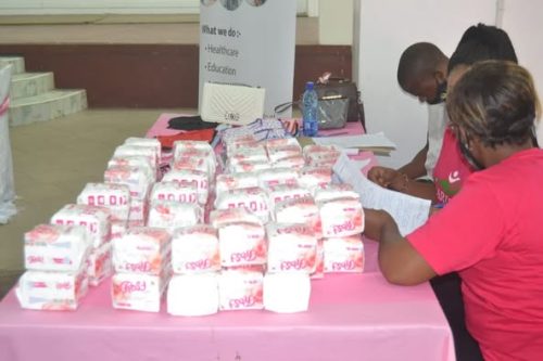 sanitary-pad-2